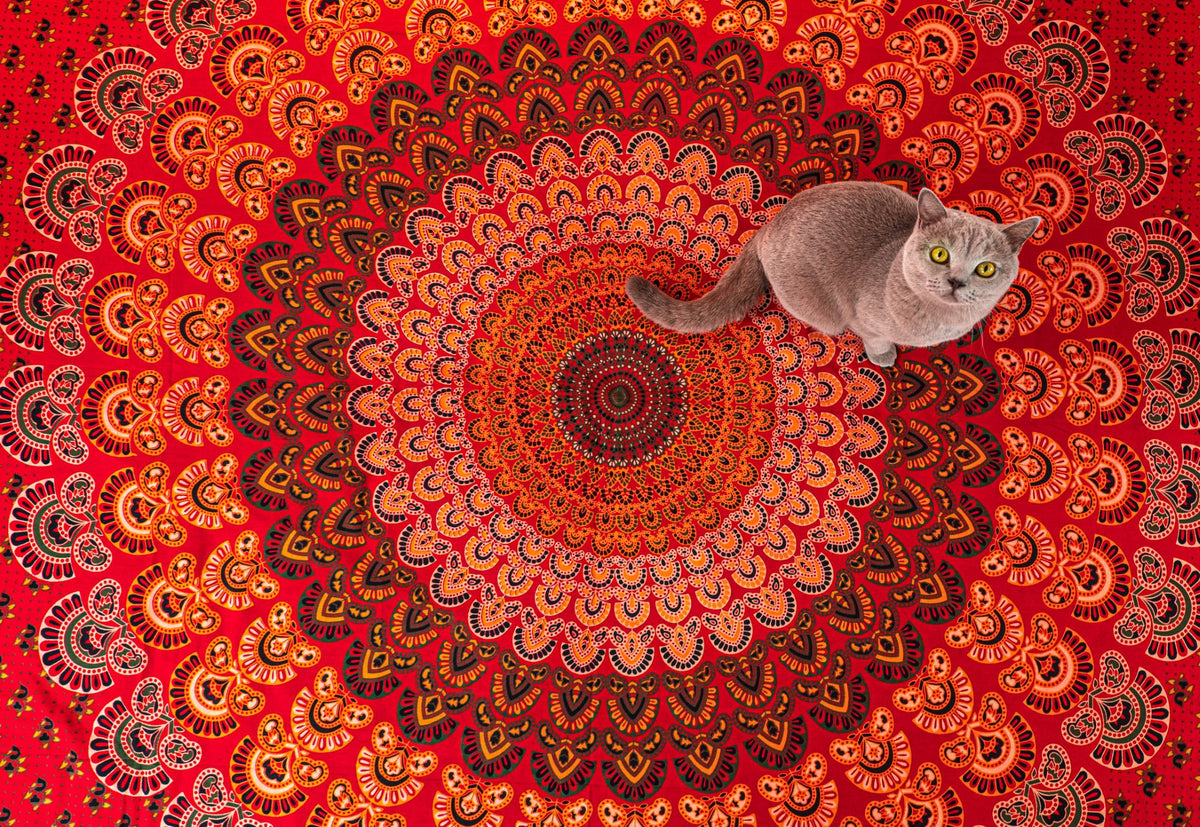 Wanddekoration aus 100% Baumwolle ca. 205 x 235 cm, Wandtuch für Zuhause, Strandtuch / großes Tapestry, Wandteppich Mandala